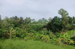 thumbnail-tanah-seluas-820-are-820-m2-berlokasi-di-jlpulau-singkep-desa-dauh-waru-bali-4