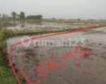 thumbnail-tanah-sawah-cocok-untuk-perumahan-di-kawasan-rajeg-tangerang-2