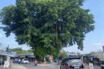 thumbnail-utara-tol-purwomartani-jogja-cocok-bangun-kost-dan-hunian-3