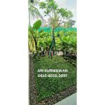 thumbnail-dekat-gading-serpong-citra-garden-serpong-diandre-harga-700jutaan-9