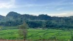 thumbnail-di-jual-tanah-kavling-nempel-wisata-bogor-mg-8