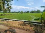 thumbnail-tanah-sawah-samping-perumahan-cluster-di-tasikmadu-karanganyar-hr-8