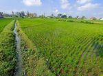 thumbnail-tanah-sawah-samping-perumahan-cluster-di-tasikmadu-karanganyar-hr-7