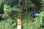 thumbnail-tanah-kebun-harga-termurah-sekali-di-malang-1