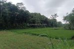 thumbnail-tanah-kebun-harga-termurah-sekali-di-malang-3