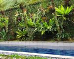 thumbnail-rumah-minimalis-furnish-plus-kolam-renang-siap-huni-sentul-city-14