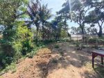 thumbnail-dijual-tanah-di-jalan-utama-sayan-ubud-view-sawah-dan-jalan-6