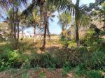 thumbnail-dijual-tanah-di-jalan-utama-sayan-ubud-view-sawah-dan-jalan-3