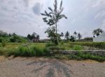 thumbnail-ideal-hunian-homestay-view-sawah-di-kaliurang-km-10-shm-0