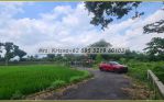 thumbnail-tanah-jogja-kalasan-cocok-untuk-investasi-5menit-exit-tol-kalasan-2