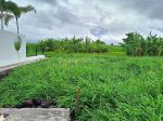 thumbnail-dijual-tanah-view-sawah-di-padonan-tibubeneng-canggu-5