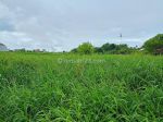 thumbnail-dijual-tanah-view-sawah-di-padonan-tibubeneng-canggu-4