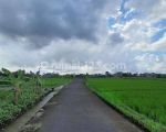 thumbnail-tanah-di-nyanyi-beraban-lingkungan-villa-9