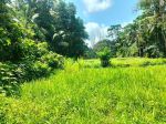 thumbnail-dijual-lahan-istimewa-di-petulu-ubud-view-jungle-1