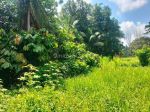 thumbnail-dijual-lahan-istimewa-di-petulu-ubud-view-jungle-2