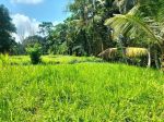 thumbnail-dijual-lahan-istimewa-di-petulu-ubud-view-jungle-3