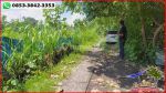 thumbnail-langka-murah-47-are-tepi-pantai-dengan-view-sawah-5