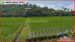 thumbnail-langka-murah-47-are-tepi-pantai-dengan-view-sawah-2