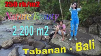 Bentuk Tanah Semi Kotak 22 Are Untuk Hunian di Tabanan