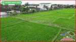 thumbnail-dijual-persawahan-datar-12000-m2-pinggir-jalan-aspal-2