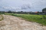 thumbnail-tanah-disewakan-view-sawah-area-canggu-1