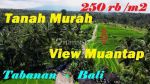 thumbnail-potensial-tanah-terasering-landai-48-are-di-penebel-tabanan-0