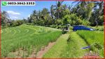 thumbnail-potensial-tanah-terasering-landai-48-are-di-penebel-tabanan-11