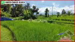 thumbnail-potensial-tanah-terasering-landai-48-are-di-penebel-tabanan-3