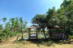 thumbnail-dijual-tanah-kebun-bonus-rumah-siap-huni-di-kemang-kabupaten-bogor-9