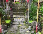 thumbnail-tempat-usaha-disewakan-tropical-vibes-di-canggu-3