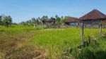 thumbnail-hot-list-di-jual-tanah-lokasi-silungan-singakerta-ubud-gianyar-0