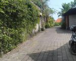 thumbnail-disewakan-tanah-155-are-lingkungan-villa-berawa-canggu-5