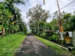 thumbnail-modern-tropical-style-villa-di-pekutatan-jembrana-bali-3