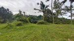 thumbnail-dijual-lahan-di-ubud-depan-resort-anantara-view-jungle-dan-sungai-8