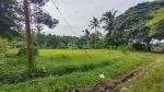 thumbnail-dijual-lahan-di-ubud-depan-resort-anantara-view-jungle-dan-sungai-4