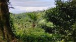 thumbnail-dijual-lahan-di-ubud-depan-resort-anantara-view-jungle-dan-sungai-6