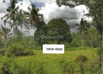 thumbnail-dijual-lahan-di-ubud-depan-resort-anantara-view-jungle-dan-sungai-0