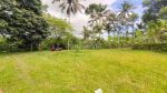 thumbnail-dijual-lahan-di-ubud-depan-resort-anantara-view-jungle-dan-sungai-13