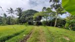 thumbnail-dijual-lahan-di-ubud-depan-resort-anantara-view-jungle-dan-sungai-7