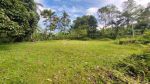 thumbnail-dijual-lahan-di-ubud-depan-resort-anantara-view-jungle-dan-sungai-14