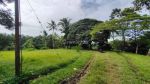 thumbnail-dijual-lahan-di-ubud-depan-resort-anantara-view-jungle-dan-sungai-3