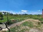 thumbnail-dijual-tanah-sawah-hook-di-perum-puri-bukit-mas-rogojampi-banyuwangi-5