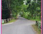 thumbnail-dijual-tanah-bantul-jogja-dekat-kampus-umy-3