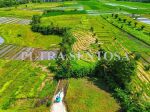 thumbnail-tanah-pantai-kedungu-beraban-tanah-lot-full-view-sawah-6