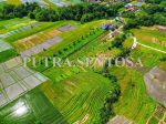 thumbnail-tanah-pantai-kedungu-beraban-tanah-lot-full-view-sawah-4