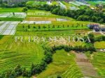 thumbnail-tanah-pantai-kedungu-beraban-tanah-lot-full-view-sawah-9