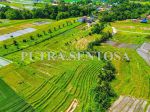 thumbnail-tanah-pantai-kedungu-beraban-tanah-lot-full-view-sawah-5