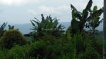 thumbnail-tanah-view-laut-dan-lembah-di-munduk-cocok-villa-rental-0