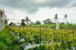 thumbnail-di-jual-shm-sawah-jakal-km10-timur-pasar-gentan-sukoharjo-ngaglik-7