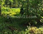 thumbnail-tanah-kebun-200rb-anm-lokasi-mangunsari-gunungpati-semarang-8